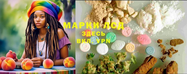 прущий лед Богородицк