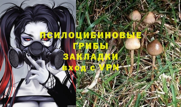 прущий лед Богородицк
