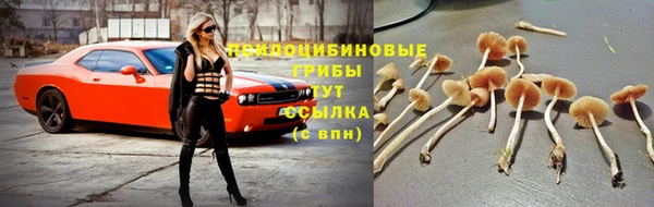 прущий лед Богородицк