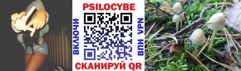 Галлюциногенные грибы Psilocybine cubensis  Кувшиново 