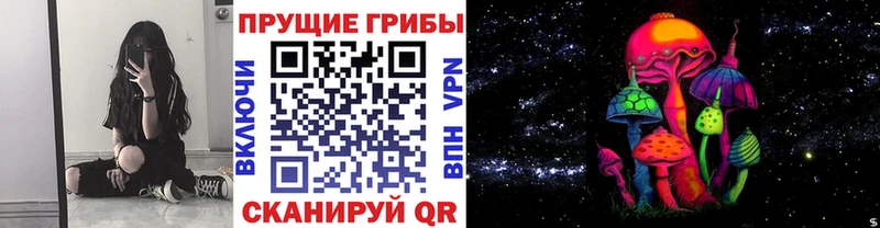 Псилоцибиновые грибы GOLDEN TEACHER Кувшиново